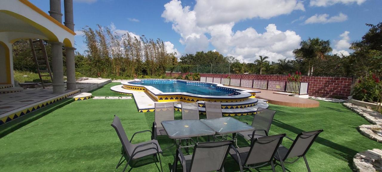 New! Casa Xola Cenote And Fauna Loft 科苏梅尔 外观 照片