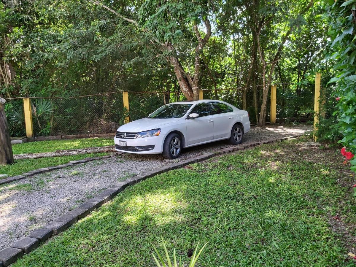 New! Casa Xola Cenote And Fauna Loft 科苏梅尔 外观 照片