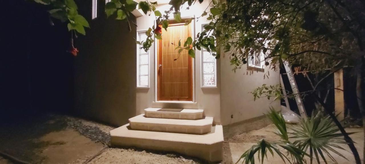 New! Casa Xola Cenote And Fauna Loft 科苏梅尔 外观 照片