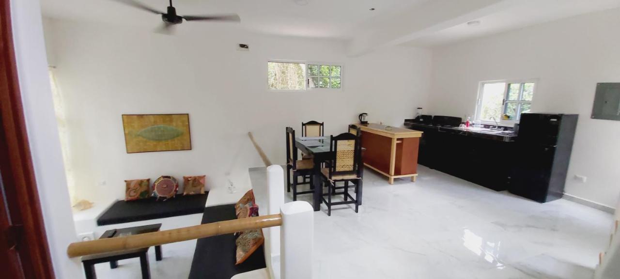 New! Casa Xola Cenote And Fauna Loft 科苏梅尔 外观 照片
